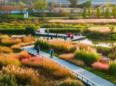 秋光為伴，我們與張村河共繪新景